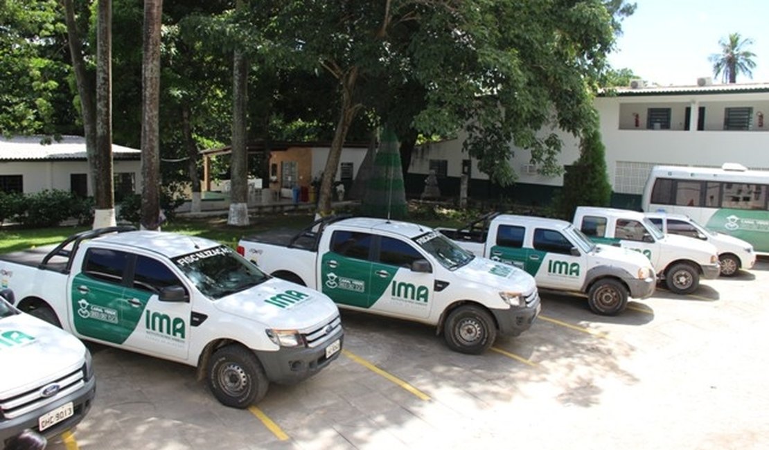 IMA e Ibama firmam parceria para prevenção de acidentes ambientais