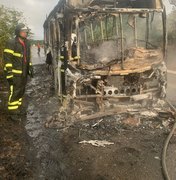 Ônibus pega fogo e fica completamente destruído após colisão com moto na BR-316, em Atalaia