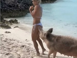 Modelo é mordida por porco selvagem durante passeio em praia 