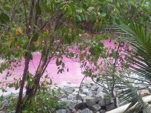 Mudança de cor do Rego dos Mamões foi causada por contaminação química