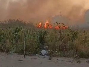 PM prende suspeito de provocar incêndio criminoso na Rota do Mar, em Maceió