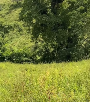 Corpo de idoso que estava desaparecido é encontrado na zona rural de Palmeira dos Índios