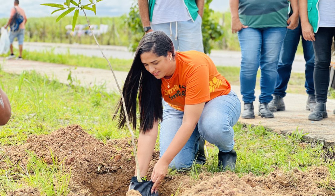 Alurb avança com projeto de plantio de árvores em Maceió