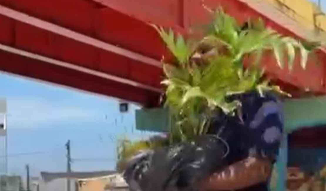 Mulher é flagrada furtando planta ornamental do Renasce Salgadinho