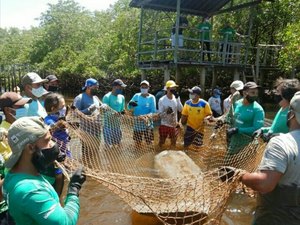 ICMBio Costa dos Corais retorna às atividades de manejo dos peixes-bois