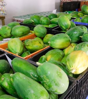 Prefeitura de Palmeira adquire toneladas de alimentos da agricultura familiar para a merenda da rede pública de ensino