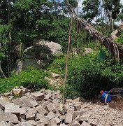 Ação conjunta apreende espingardas e resgata pássaros silvestres no interior de Alagoas