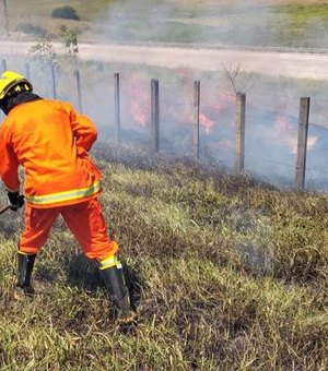 Corpo de Bombeiros é acionado para incêndio em vegetação em Arapiraca