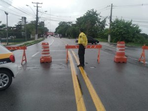 SMTT libera Avenida Jorge Montenegro de Barros após remoção de árvores
