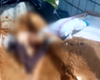 Corpo retirado de sepultura é encontrado sentado em cima de túmulo em PE
