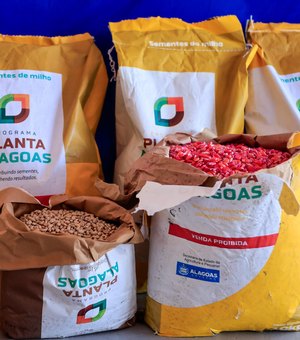 Planta Alagoas já atendeu mais de 35 mil agricultores com entrega de 500 toneladas de sementes