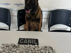 Cão farejador localiza drogas escondidas em obra no bairro Canafístula