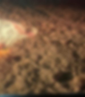 Homem é assassinado a facadas ao tentar separar briga em Piaçabuçu