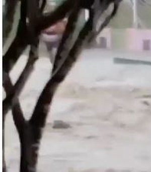[Vídeos] Moradores da Vila Bananeiras acionam Defesa Civil após terem casas alagadas