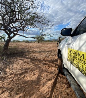 FPI constata desmatamento ilegal do bioma caatinga em Mata Grande