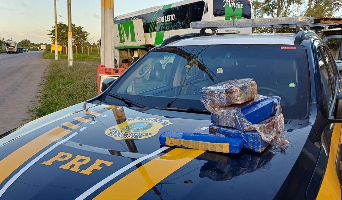 PRF prende homem com 12kg de maconha dentro de ônibus em São Sebastião