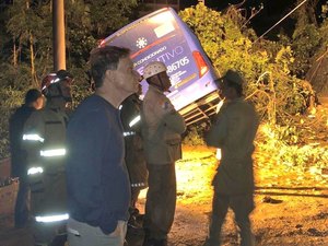 Estágio de crise: chuvas no RJ causa morte, deslizamentos e quedas de árvores