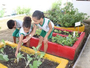 Horta escolar muda hábito alimentar de alunos da rede municipal de Maceió