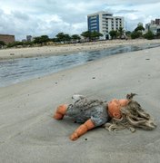 Pesquisador da Ufal alerta sobre acúmulo de plástico no meio ambiente