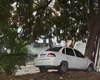 Carro fica pendurado em ribanceira após invadir canteiro e bater em árvore no Farol