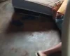 Chacina na zona rural de Estrela de Alagoas faz, pelo menos, cinco vítimas
