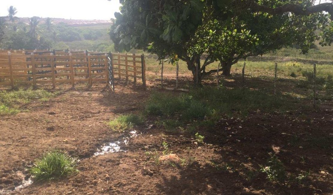Arapiraca: Defensoria pede suspensão de cobrança indevida de IPTU para propriedade rural