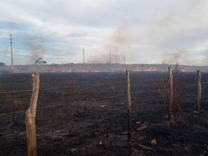 População denuncia incêndio em vegetação de terreno em Marechal Deodoro