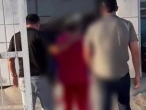 Polícia prende pai que auxiliou filho em assassinato em Matriz de Camaragibe