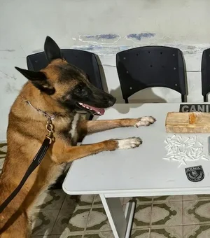 Mulher é presa com crack e cocaína em residência na zona rural de Arapiraca