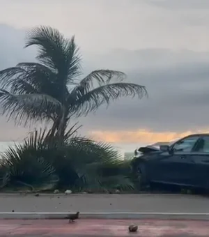 Motorista perde controle de BMW e derruba coqueiro na orla de Jatiúca, em Maceió