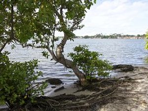 Homens são presos e adolescente é apreendida, dentro de canoa em Maceió