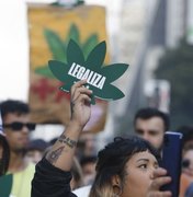 Políticos de AL repercutem decisão do Supremo que descriminaliza porte de maconha para uso pessoal