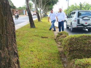 Canteiros da Avenida Ceci Cunha, em Arapiraca,  recebem plantio de grama