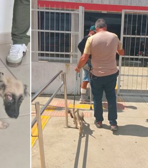 Homem fere olho do próprio cachorro e é preso por maus-tratos em Teotônio Vilela