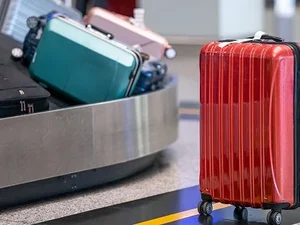 Mulher é presa por viajar com criança dentro de mala na Nova Zelândia
