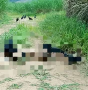 Polícia investiga morte de adolescente encontrado em estrada vicinal em Matriz de Camaragibe
