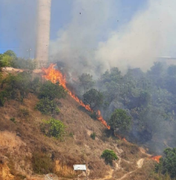 [Vídeo] Vegetação pega fogo próximo a torre de telefone em Maragogi