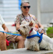 Sesau alerta sobre controle de doenças transmitidas entre animais e seres humanos