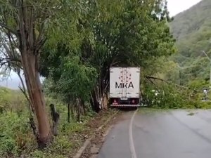 Caminhão colide em árvore e deixa preso às ferragens na AL-145, em Água Branca