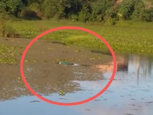 [Vídeo] Corpo de homem é encontrado boiando em lago de Porto Calvo