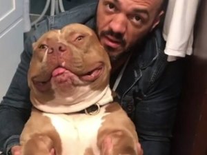 Belo cancela shows após ser 'atacado' por seu próprio cão em casa