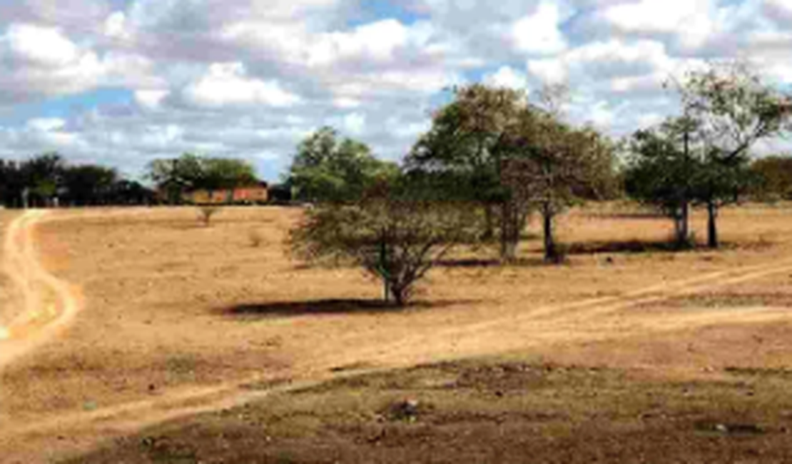 Governo Federal reconhece situação de emergência em consequência da seca em Santana do Ipanema