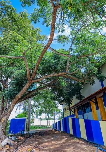 Prefeitura de Arapiraca faz maior investimento na história da Escola de Campo de Arapiraca