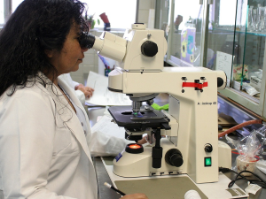 Instituições Federais atuam no combate ao coronavírus