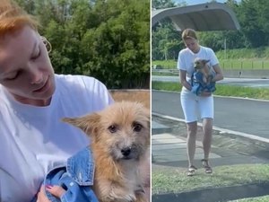 Ana Hickmann resgata cachorro abandonado em estrada: 'Foi deixado para morrer'