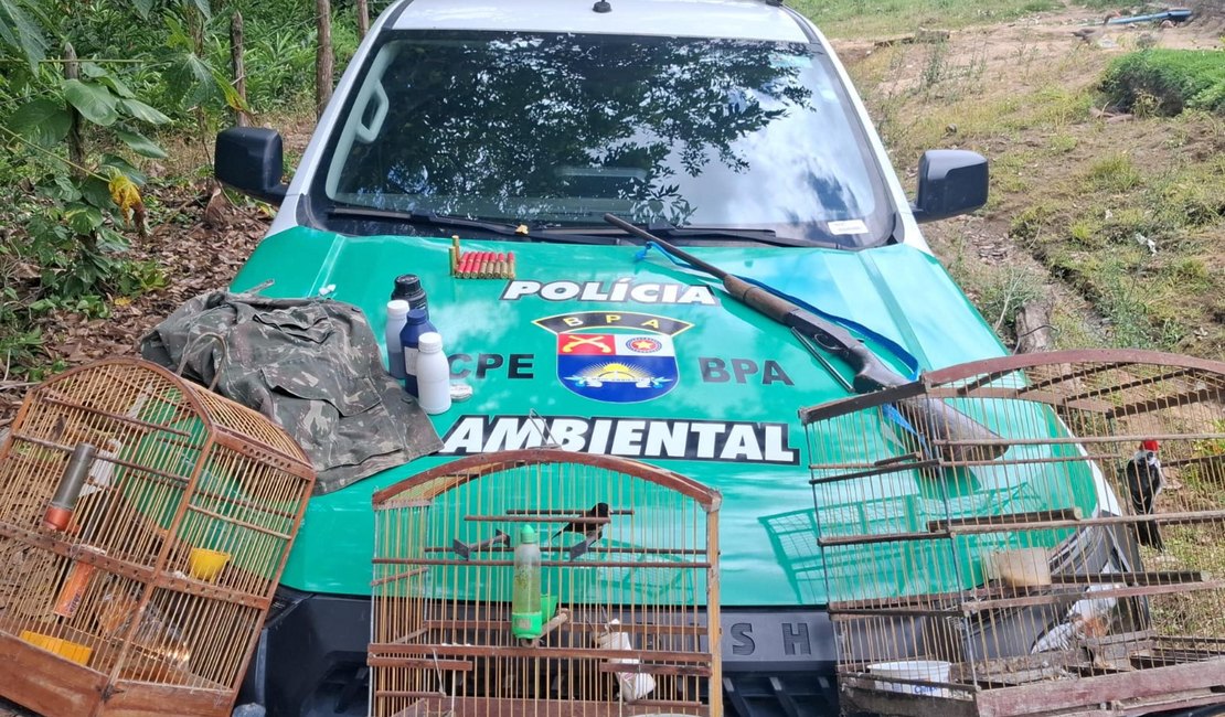 PM flagra arma e aves silvestres em cativeiro em Passo do Camaragibe