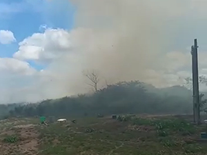 Vegetação pega fogo e chamas se alastram em terreno na região do Distrito Industrial de Arapiraca