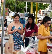 Deputada Gabi Gonçalves lança novo projeto “Expo: Vida e Arte”