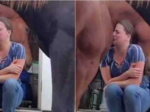 Cavalo consola dona que estava chorando após divórcio