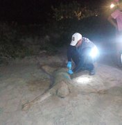 Corpo é encontrado em cova rasa na praia de São Miguel dos Milagres